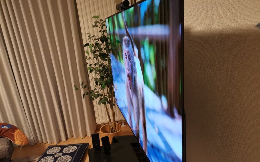 購入レビュー】LG 「OLED 55BXPJA」 | コスパ最強の55型有機ELテレビ 