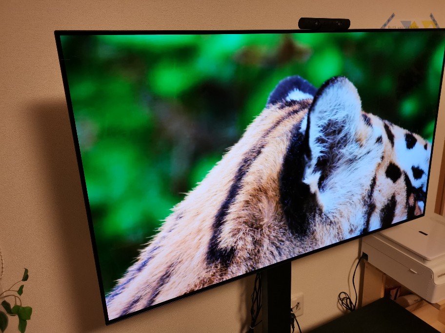 LG 55BXPJA有機ELテレビレビュー